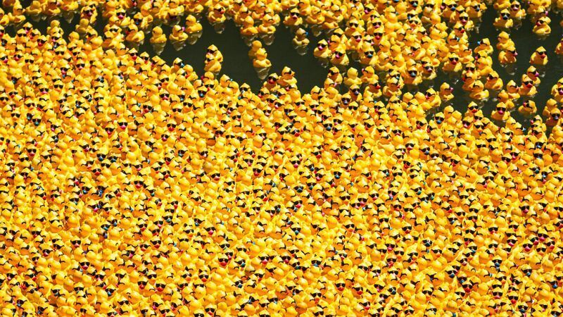 Tens of thousands of rubber ducks race along Chicago River, and more of today's top videos